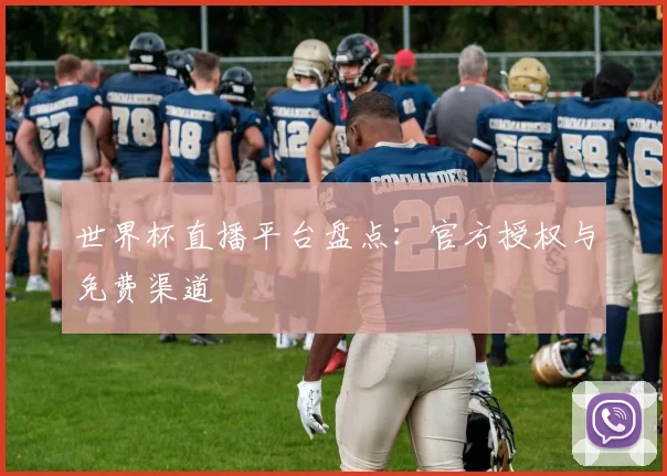世界杯直播平台盘点：官方授权与免费渠道